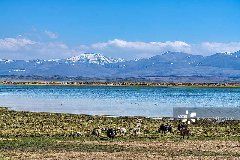 西藏阿里地区普兰县纳木那尼峰及玛旁雍错图片素材