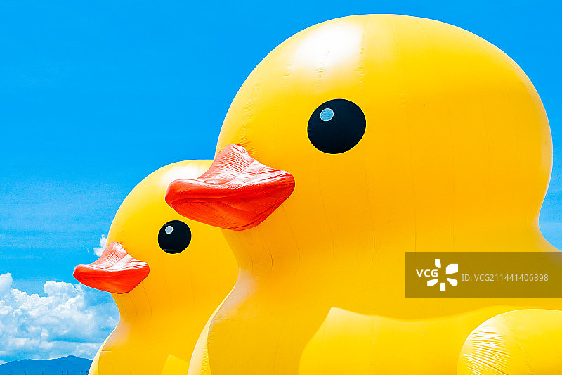 维多利亚港的小黄鸭图片素材