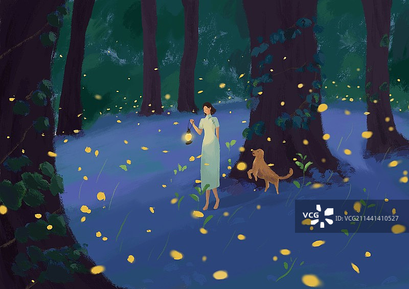 萤火虫的浪漫夏夜图片素材