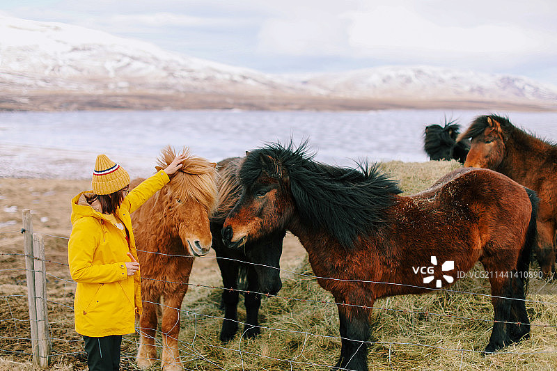年轻的女人和她的马图片素材