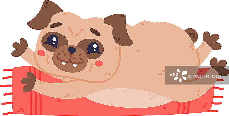 脸上布满皱纹的哈巴狗角色图片素材