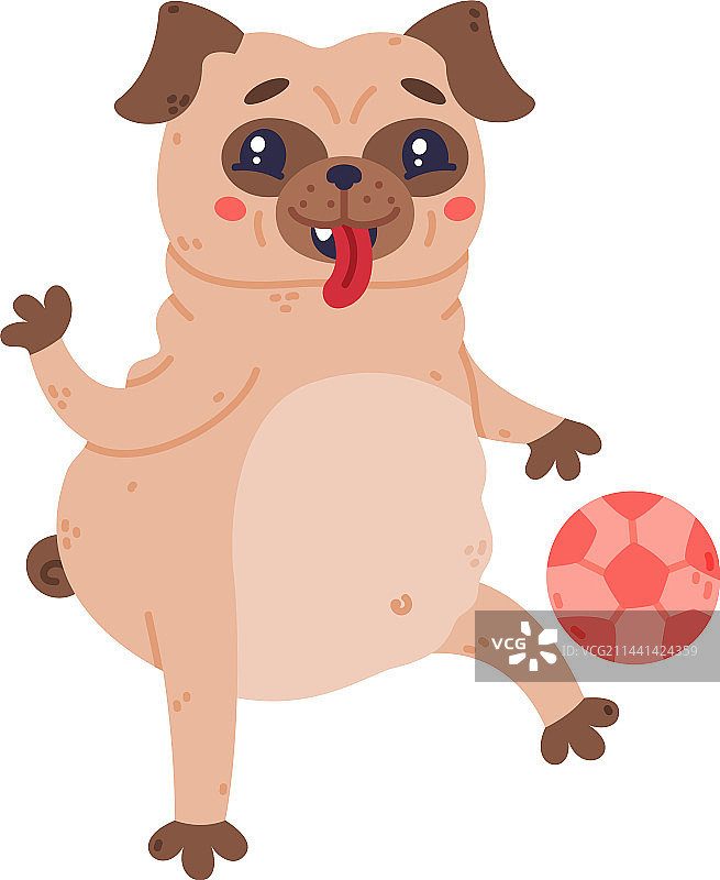 有趣的哈巴狗：玩耍中图片素材