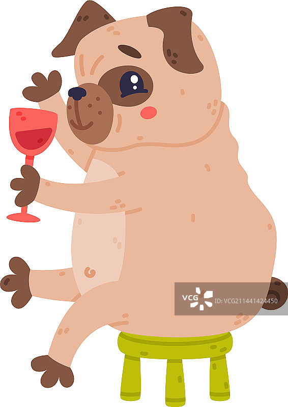 喝水的可爱哈巴狗图片素材