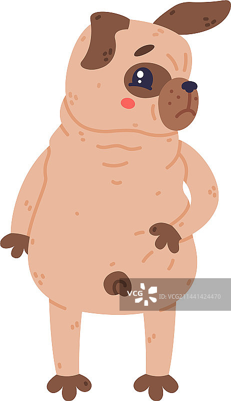 面部皱纹滑稽的哈巴狗角色图片素材