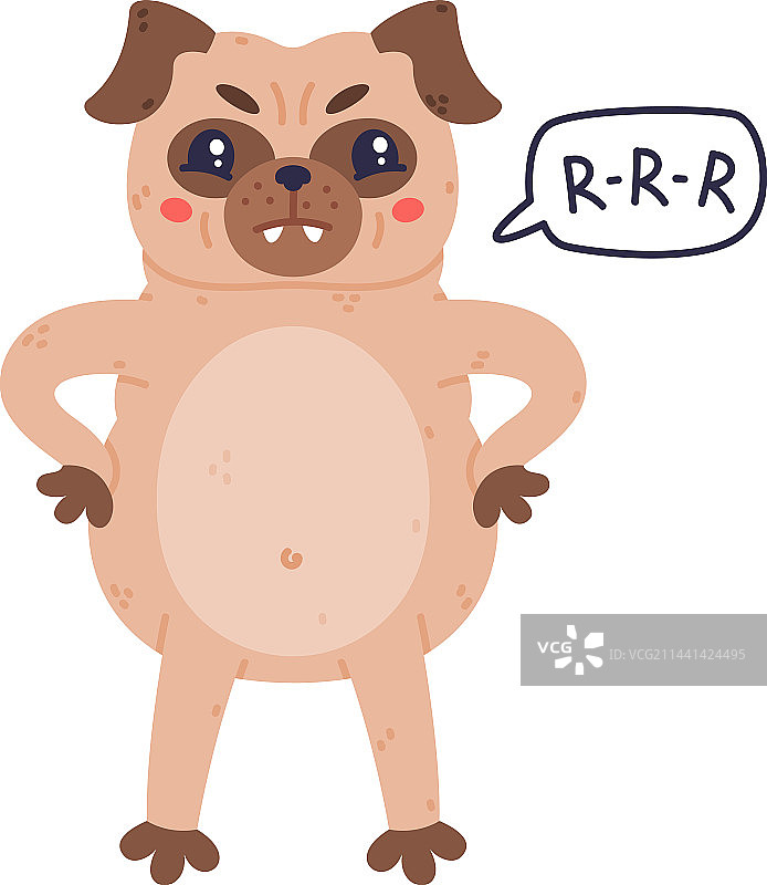 有趣的皱眉巴哥犬图片素材