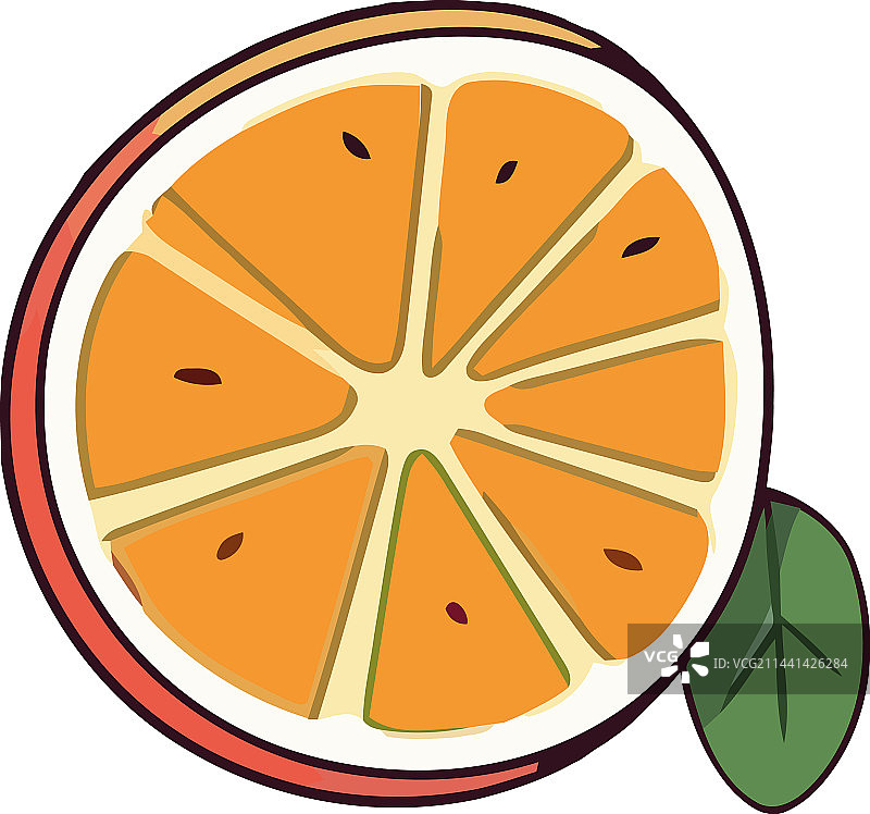 多汁的柑橘切片图片素材