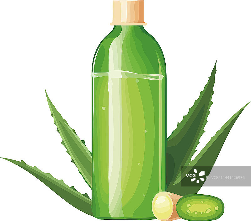 瓶子里的新鲜绿叶草药图片素材