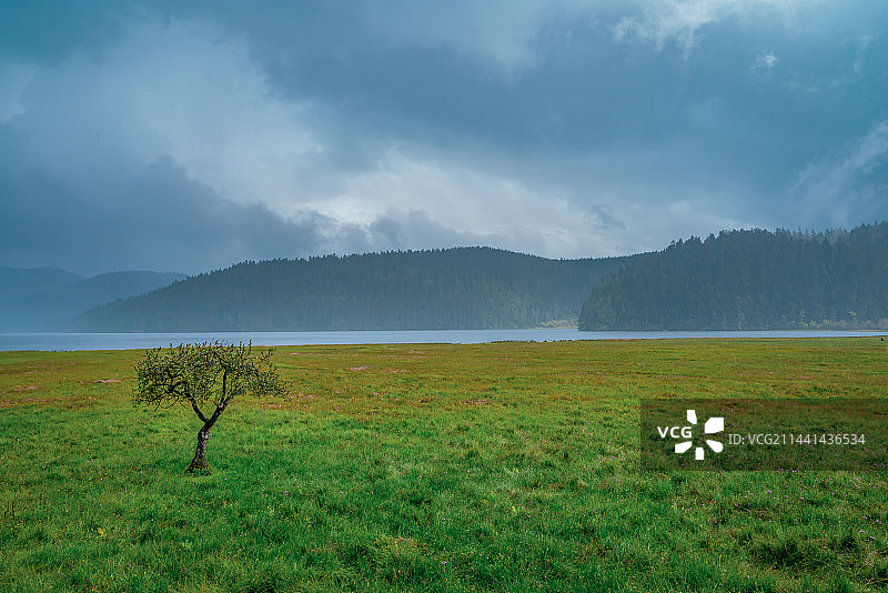 迪庆普达措国家公园图片素材