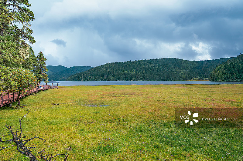 迪庆普达措国家公园图片素材