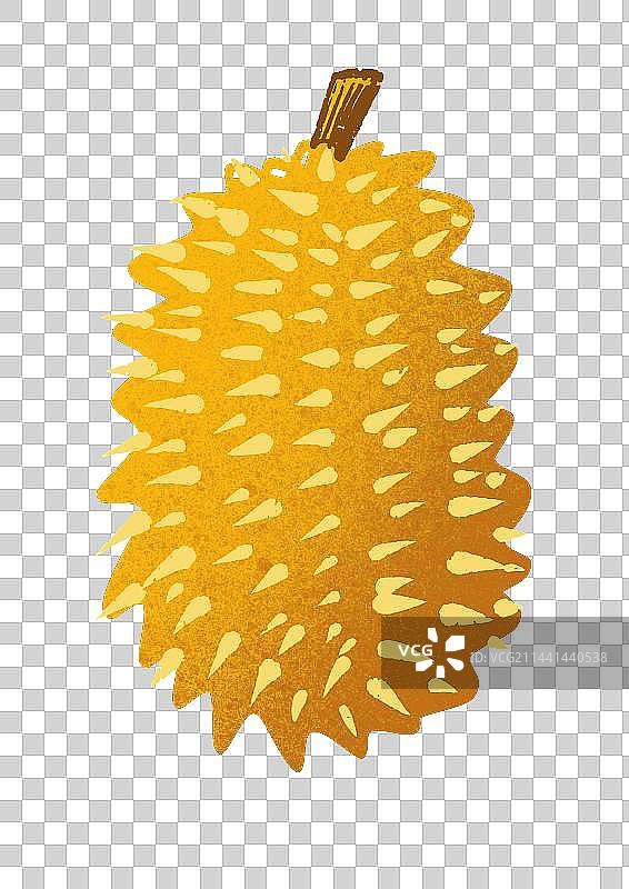 黑色背景下的黄色榴莲特写镜头图片素材