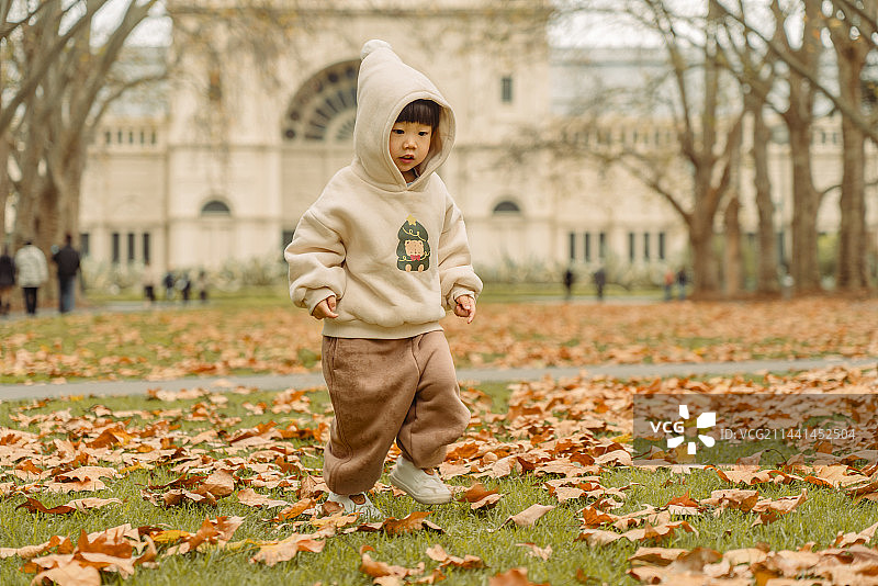 墨尔本皇家博物馆前草坪处小男孩寻找落叶图片素材