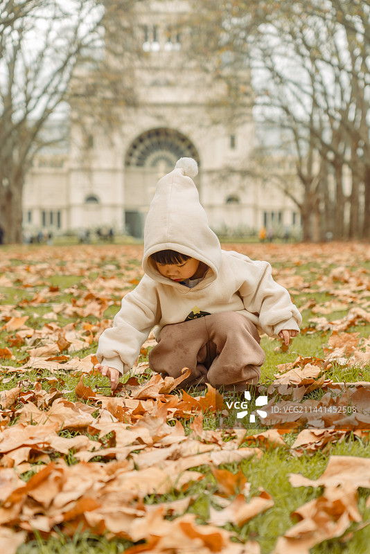 墨尔本皇家博物馆前草坪处小男孩寻找落叶图片素材