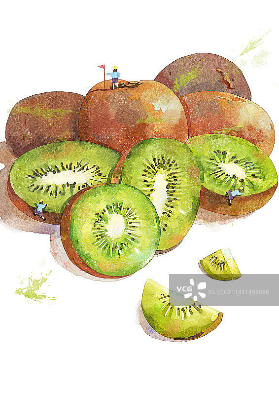 白色背景上的猕猴桃切片特写图片素材