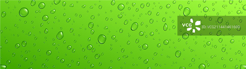 绿色背景清新雨水水滴图片素材