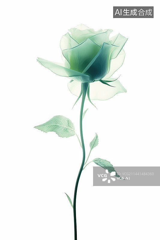 【AI数字艺术】白色背景上的绿色玫瑰图片素材