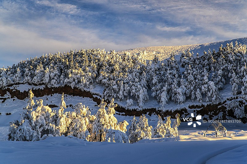 云南昭通，冬天的大山包银装素裹，雪后初霁图片素材