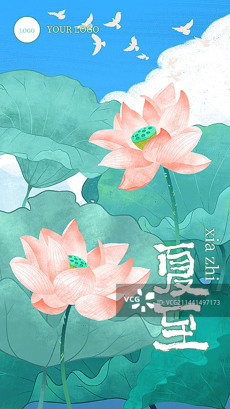 夏至荷花手绘插画日签图片素材