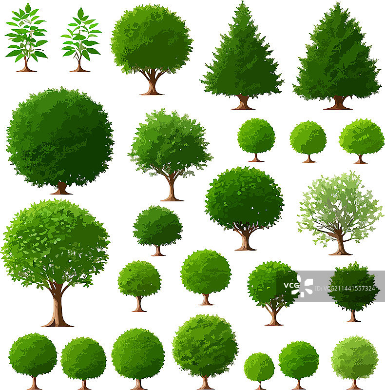 精美森林树木灌木植物艺术图片素材