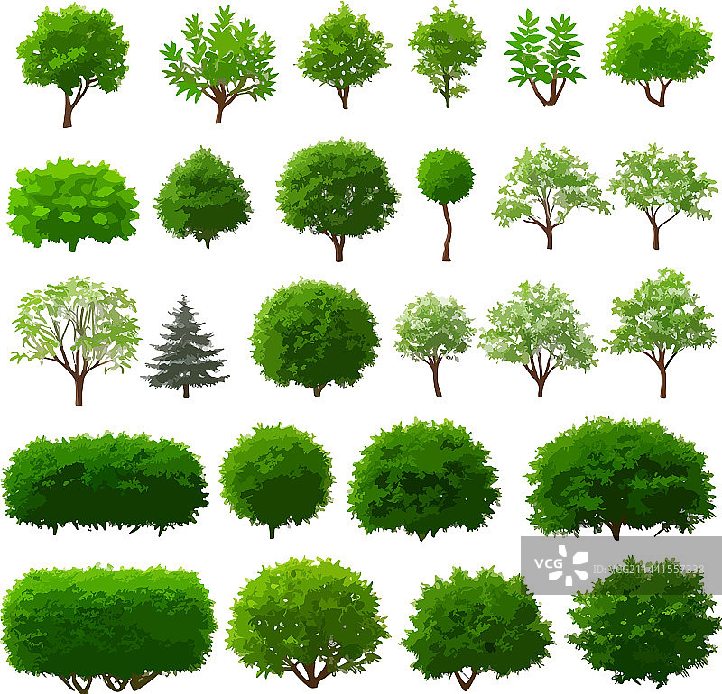 美丽的森林树木灌木植物艺术图片素材