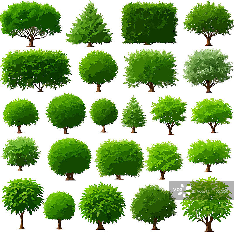 美丽的森林树木灌木植物艺术图片素材