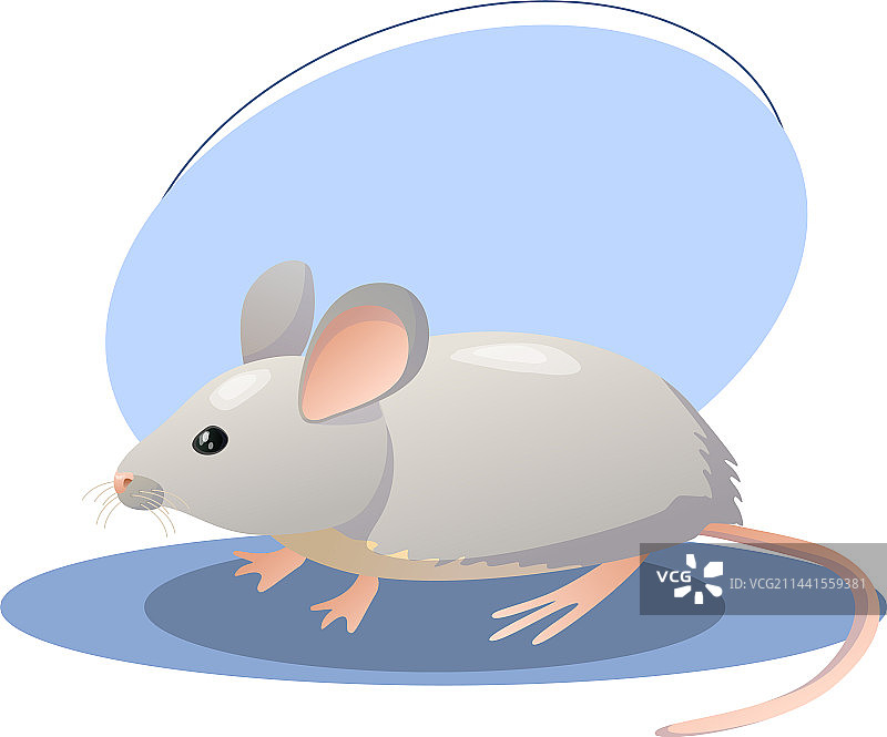 卡通老鼠动物耳朵尾巴鼻子可编辑图案图片素材