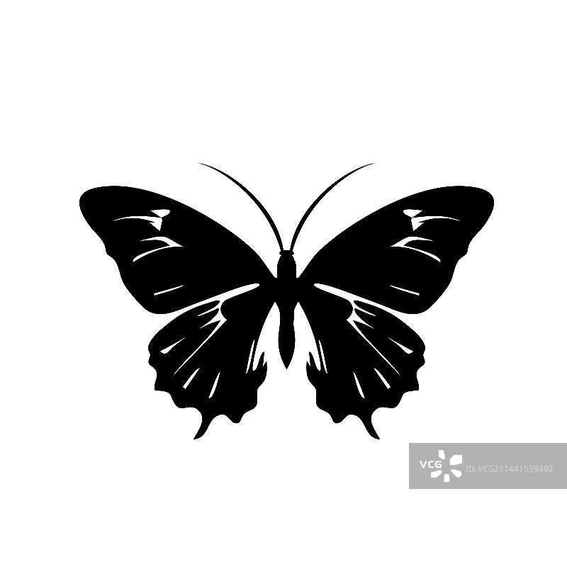 蝴蝶图标飞蛾昆虫剪影符号图片素材