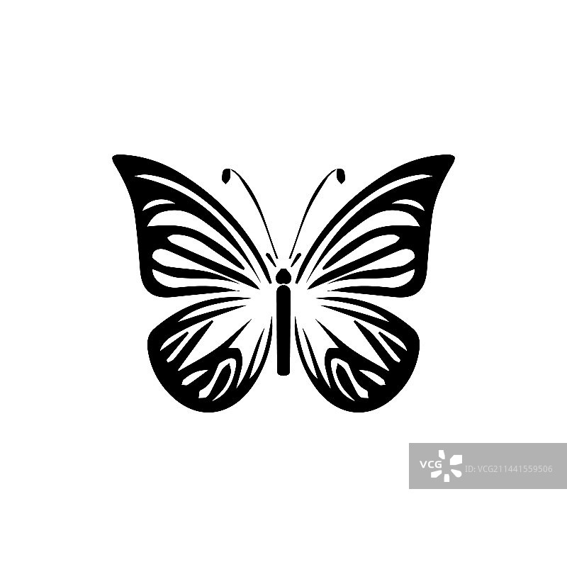 蝴蝶图标飞蛾昆虫剪影符号图片素材