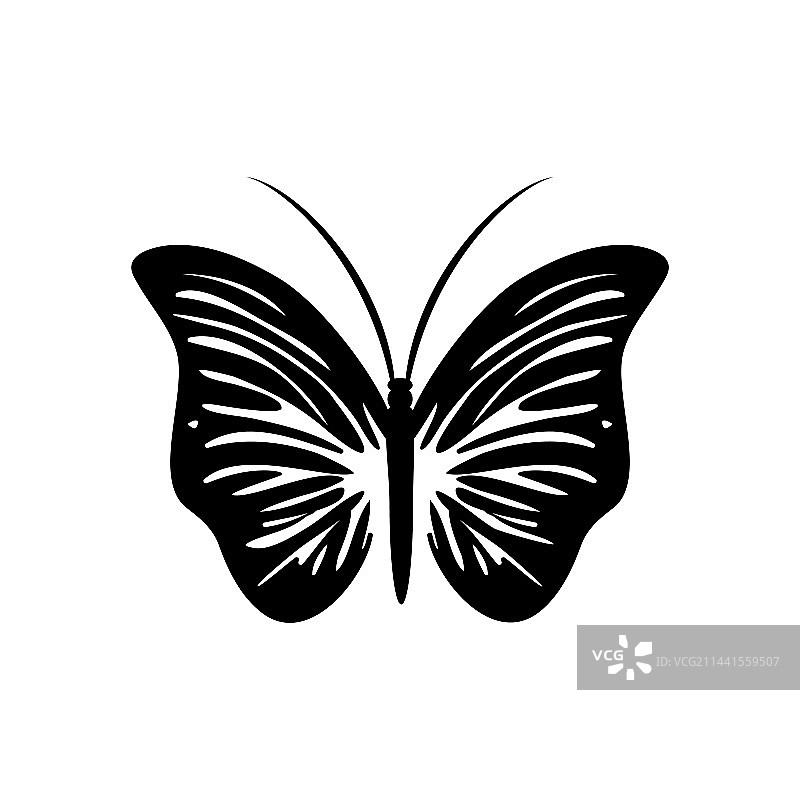 蝴蝶图标飞蛾昆虫剪影符号图片素材
