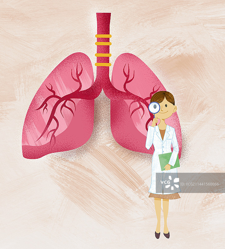 肺，肺部检查，咳嗽，讲解，预防图片素材