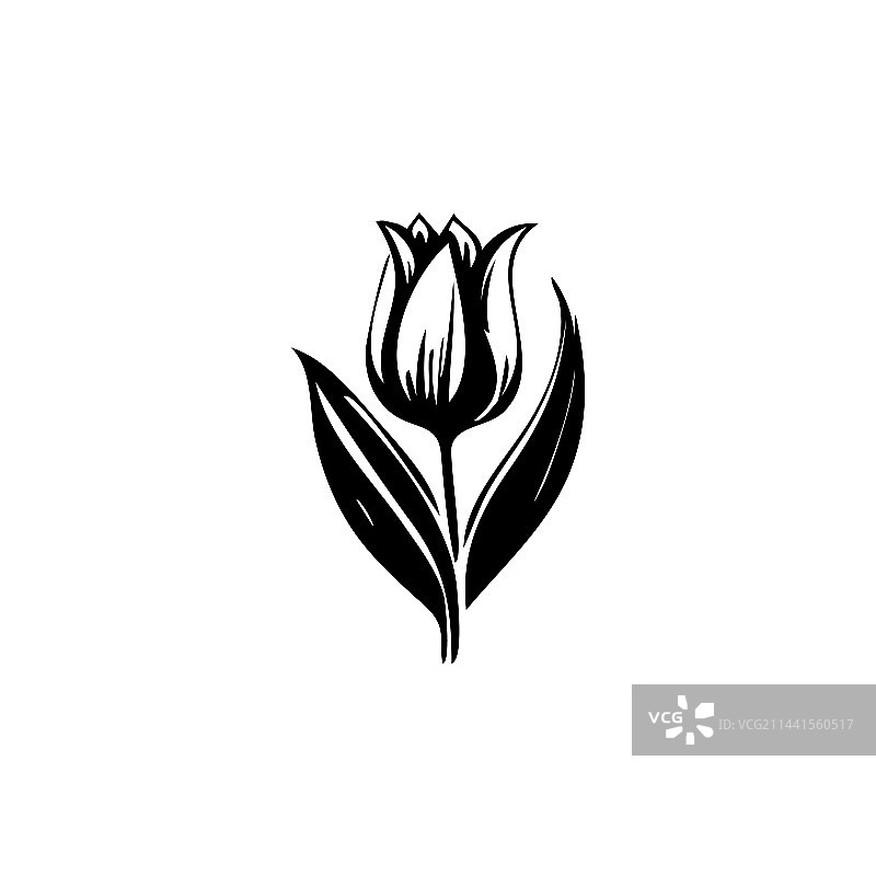 郁金香图标花朵符号雏菊标志图片素材