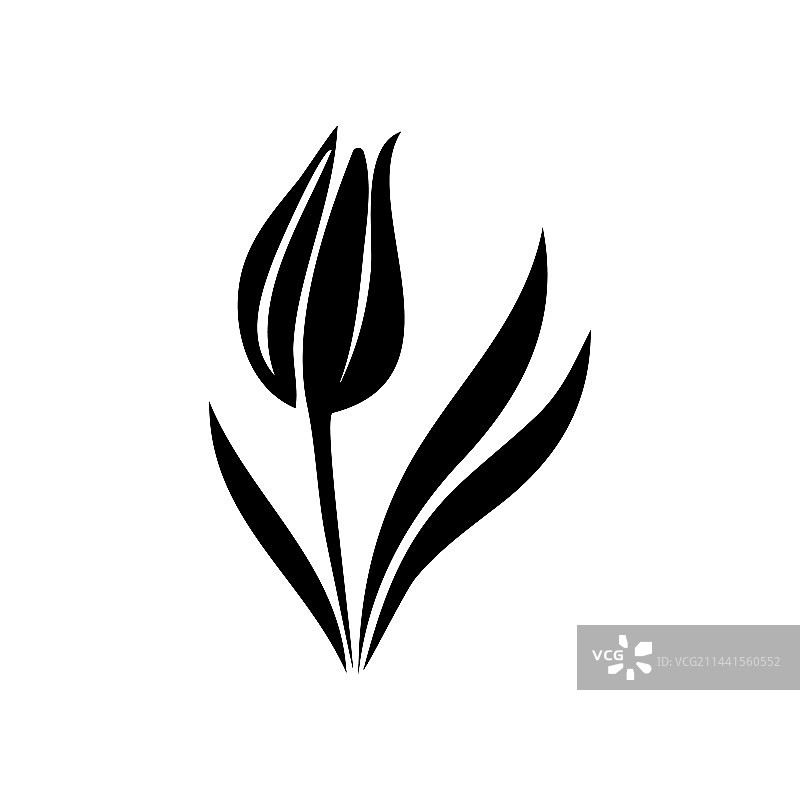 郁金香图标花朵符号雏菊标志图片素材