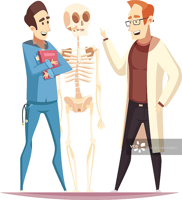 骨科医生和骨骼组合图片素材