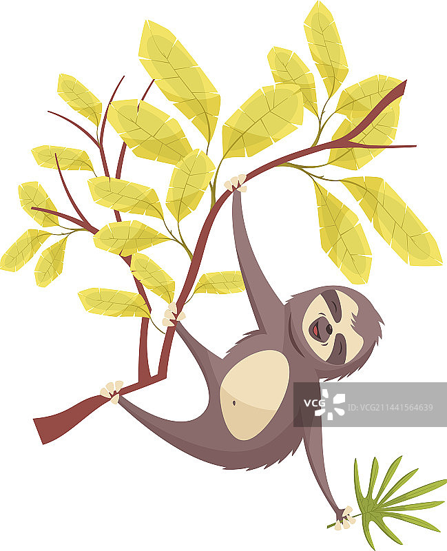 丛林风树懒设计图片素材