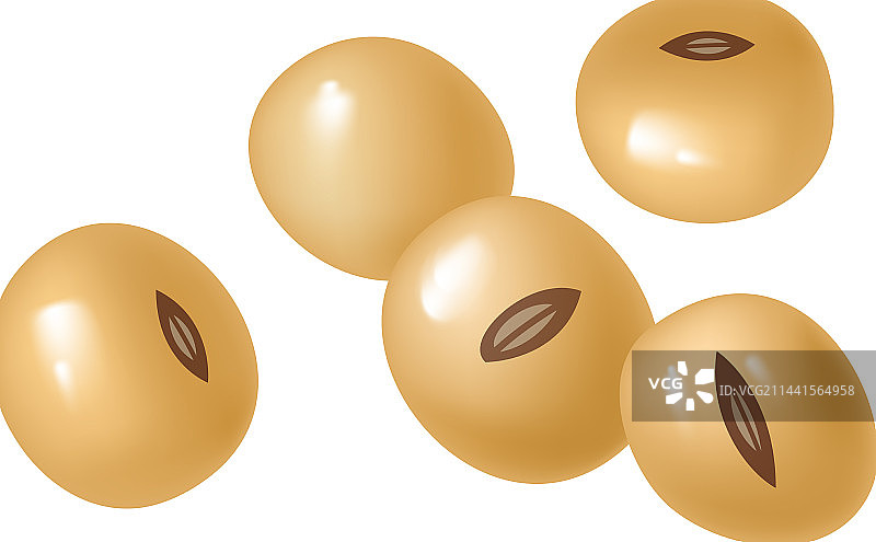 棕色大豆成分构成图片素材