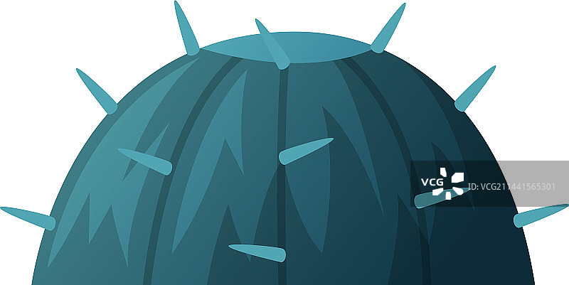 多肉植物仙人掌图片素材