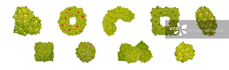 装饰公园的绿色灌木和造型灌木图片素材