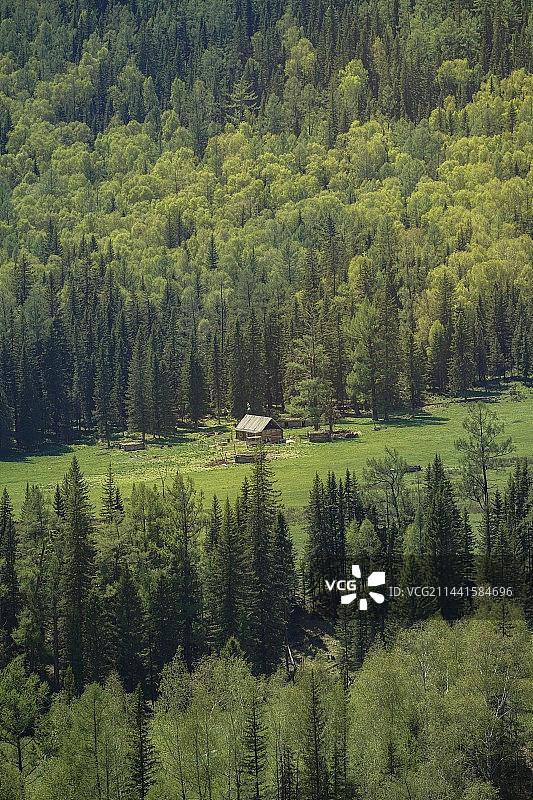 喀纳斯图片素材