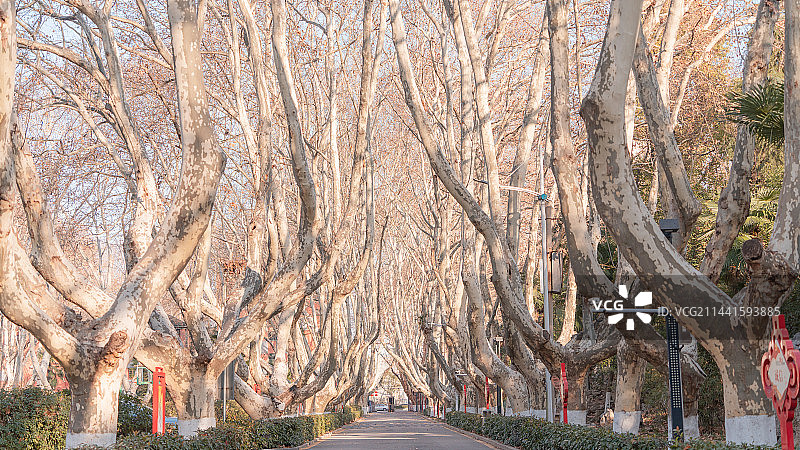 南京邮电大学三牌楼校区风景图片素材