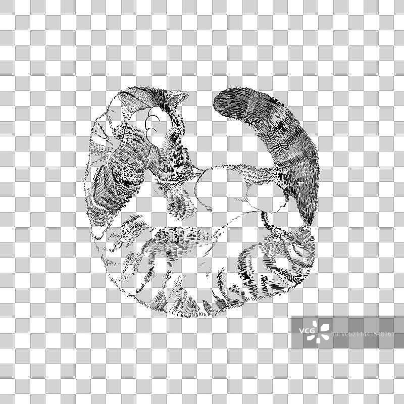 猫黑白线稿元素图片素材