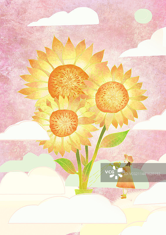 小女孩给向日葵浇水图片素材
