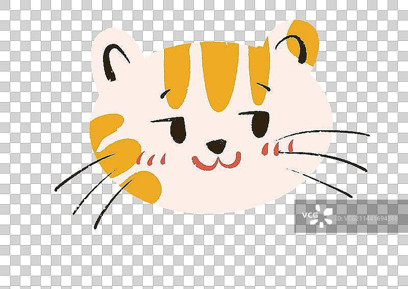 黑色背景下的猫特写镜头图片素材