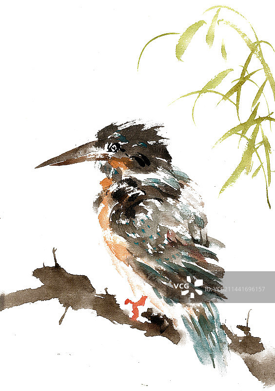 枝头的翠鸟图片素材