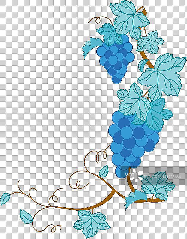 葡萄藤图片素材