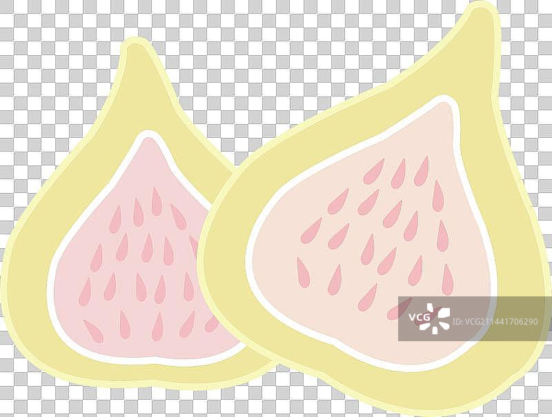 无花果图片素材