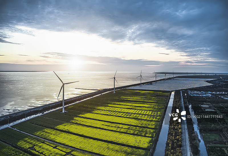 航拍清晨的海边风电场图片素材