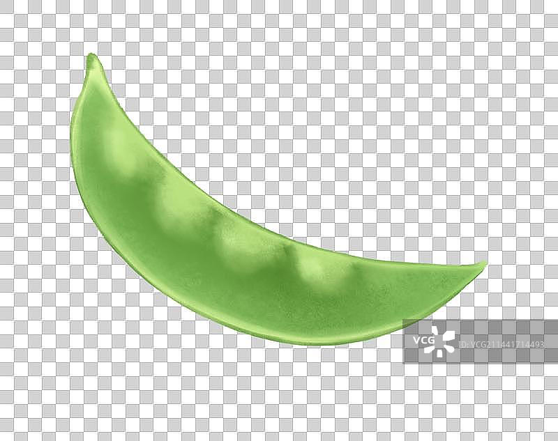 写实荷兰豆插画元素图片素材