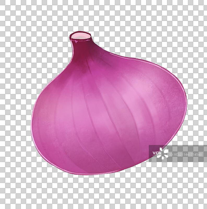 写实洋葱插画元素图片素材