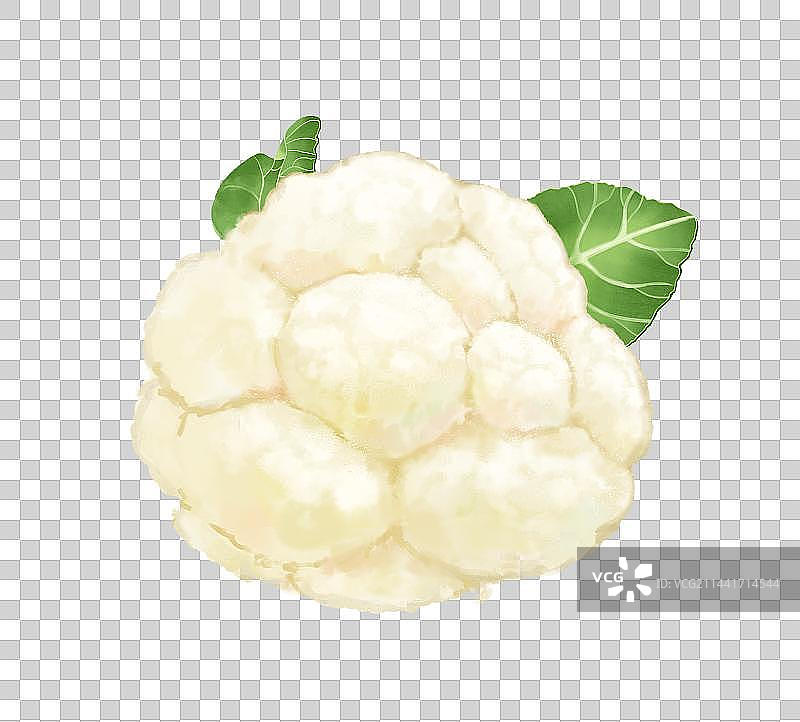 写实洋葱插画元素图片素材