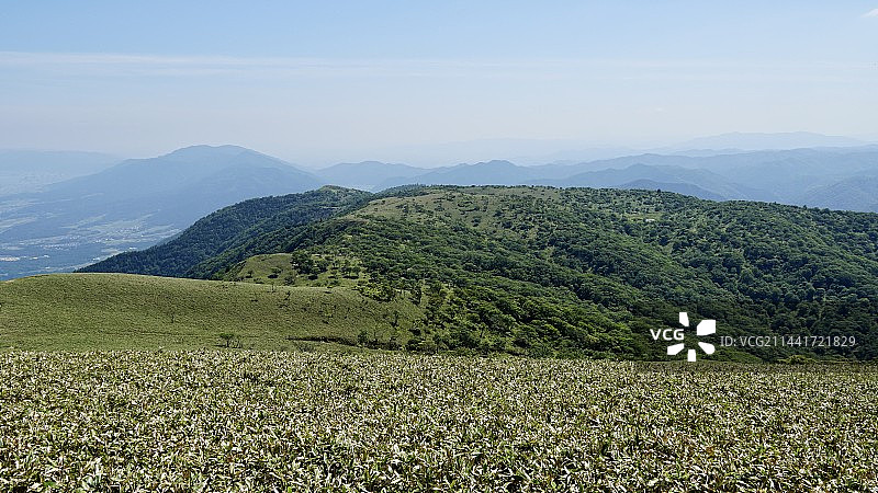 日本最大淡水湖泊琵琶湖山顶草地图片素材