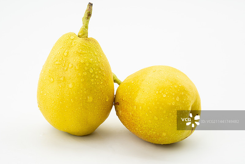 香水梨果实图片素材